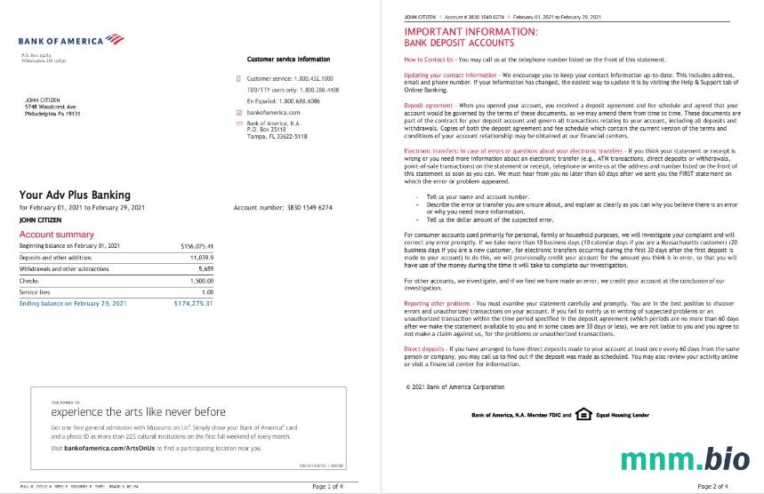 Szablon wyciągu bankowego USA Bank of America w formacie Excel i PDF, Wersja 4